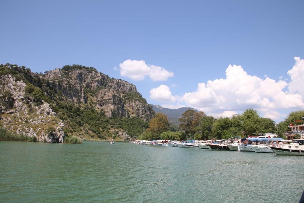 Вилла (Вилла с бассейном), Dalyan Villa