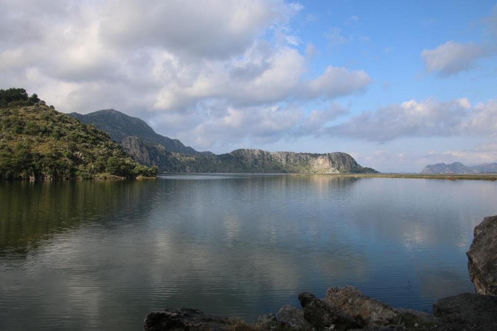 Вилла (Вилла с бассейном), Dalyan Villa