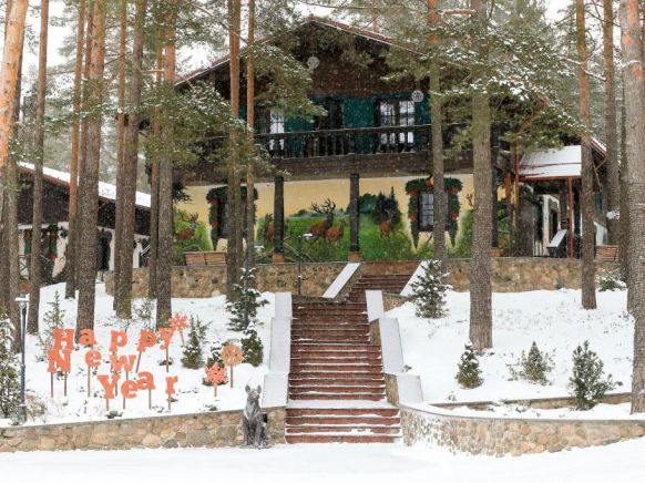 Курортный отель Красный Бор, Лисна