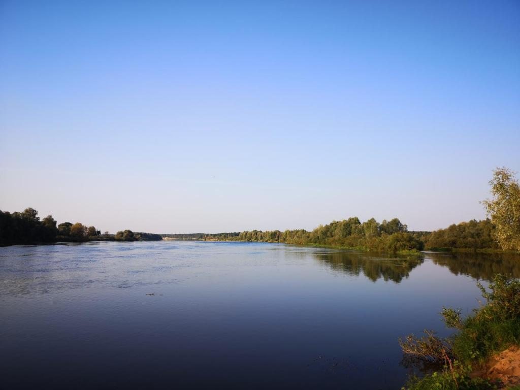 Карта белый берег гомель