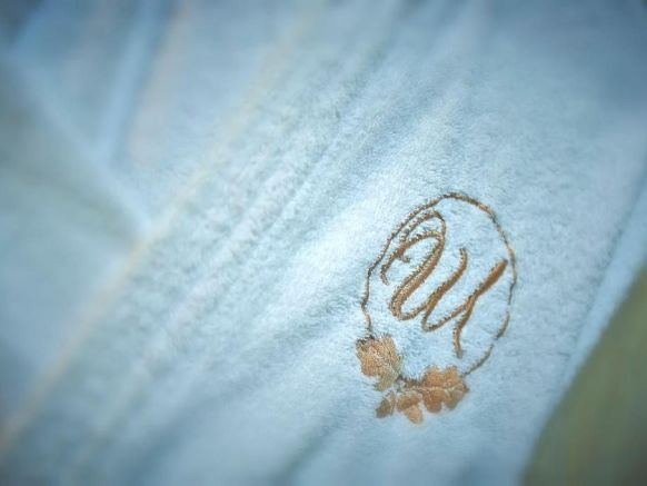 Фотография номера гостиницы Шереметьевский Парк-отель