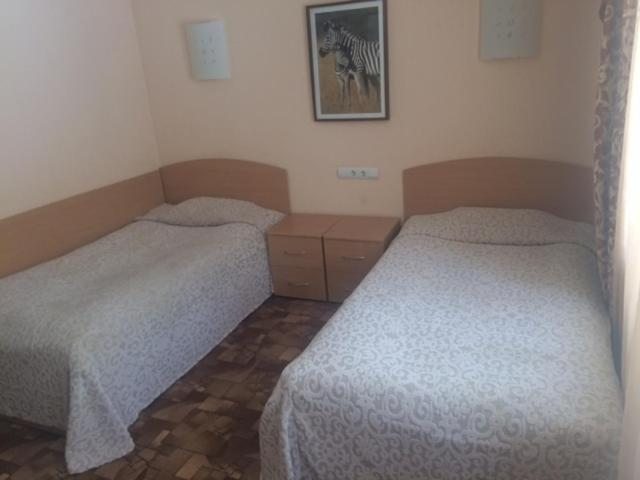 Двухместный (Двухместный номер с 2 отдельными кроватями и душем) гостиницы Shaturaholl, Шатура