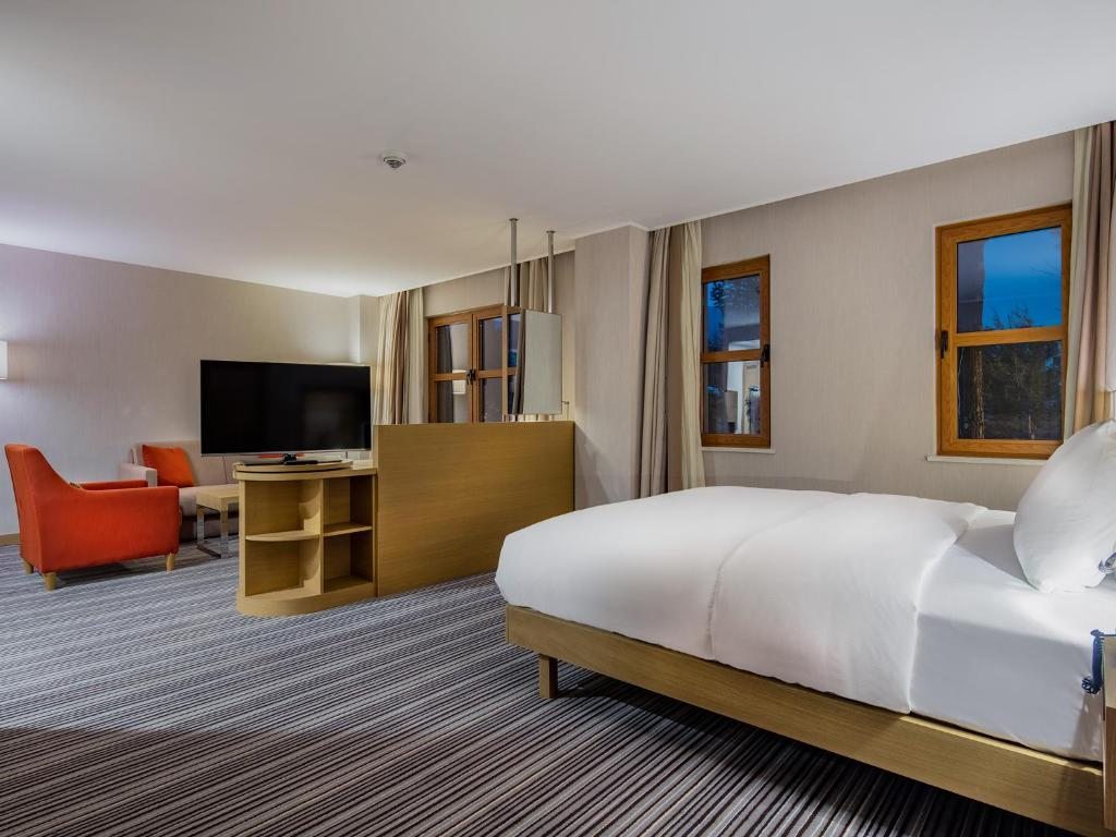 Двухместный (Номер с кроватью размера «king-size» - Подходит для гостей с ограниченными физическими возможностями) отеля Hilton Garden Inn Safranbolu, Сафранболу