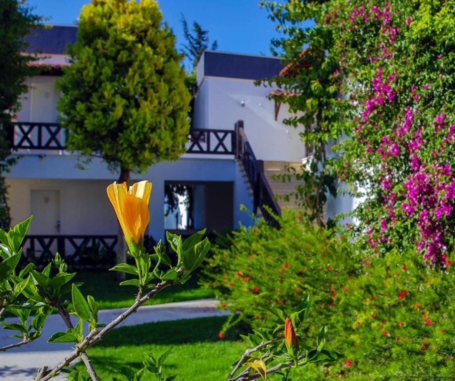 Bitez garden life 4. Отель Parkim Ayaz Бодрум. Parkim Ayaz Hotel 4* Bodrum. Parkim Ayaz номер. Parkim Ayaz 4 Турция Бодрум фото.