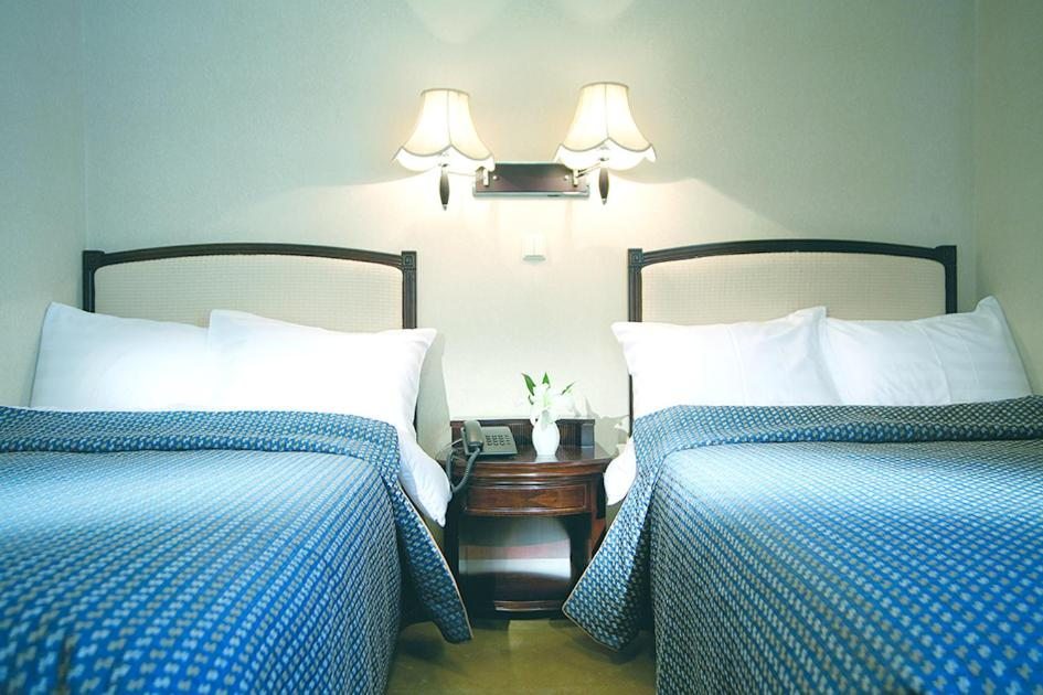 Двухместный (Улучшенный двухместный номер с 2 отдельными кроватями) парк-отеля Гринвей, Обнинск