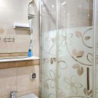Двухместный (Стандарт Twin), Отель Петроградский