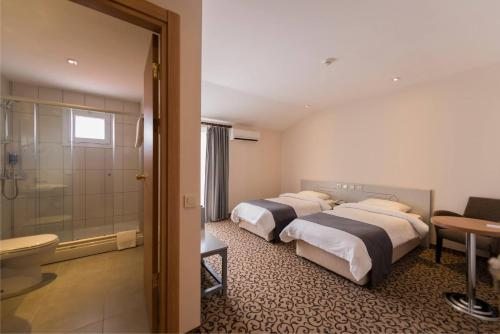 Двухместный (Двухместный номер с 1 кроватью или 2 отдельными кроватями и террасой) отеля Herakles Thermal, Памуккале