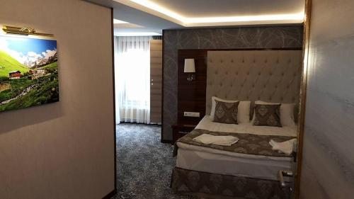 Двухместный (Двухместный номер бизнес-класса с 1 кроватью или 2 отдельными кроватями) отеля Ayder Hasimoglu, Яйла-Айдер