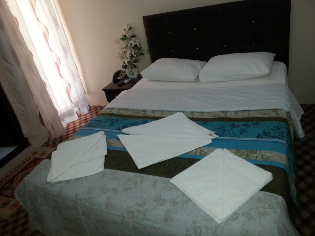 Двухместный (Стандартный двухместный номер с 1 кроватью) отеля Anatolia Hotel, Памуккале