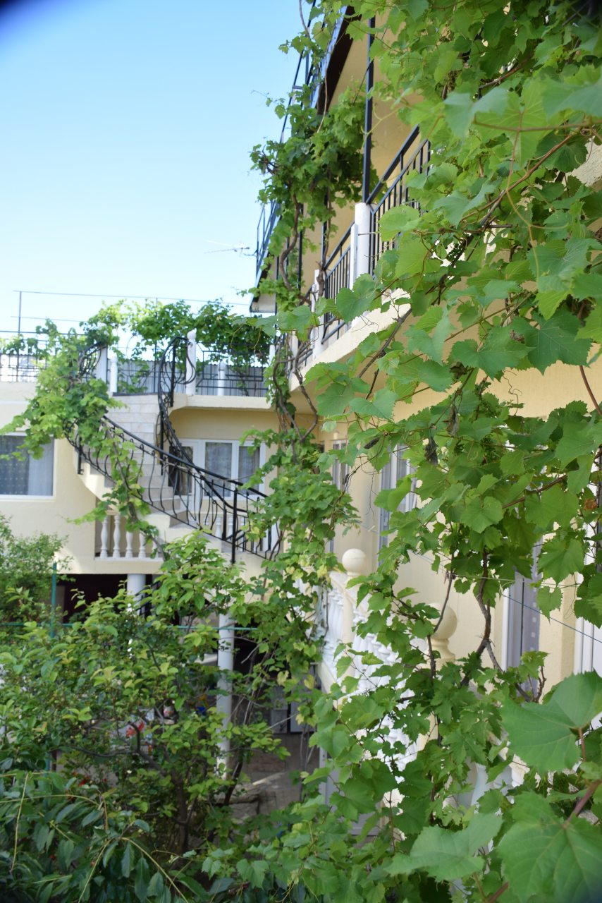 Гостевой дом Максим, Геленджик