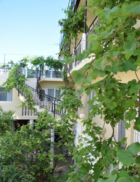 Гостевой дом Максим, Геленджик