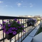 Двухместный (Комфорт с террасой), Микс Отель Невский 67