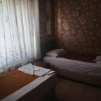 Двухместный (Стандартный двухместный номер с 1 кроватью или 2 отдельными кроватями), Isık Hotel in the city centre