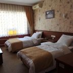 Двухместный (Стандартный двухместный номер с 1 кроватью или 2 отдельными кроватями), Отель Saray