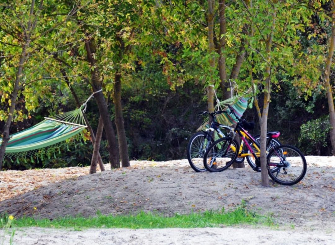 Прокат велосипедов, База отдыха Лесной берег