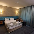 Двухместный (Стандартный двухместный номер с 1 кроватью), Отель Fier Butik Hotel & Spa Kayseri