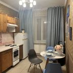 Апартаменты (Однокомнатная квартира 388), Апартаменты Домотелли на Пионерской