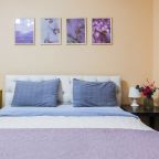 Апартаменты (Однокомнатная квартира 874), Апартаменты Домотелли на Пионерской