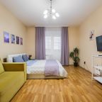 Апартаменты (Однокомнатная квартира 874), Апартаменты Домотелли на Пионерской