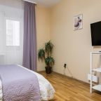 Апартаменты (Однокомнатная квартира 874), Апартаменты Домотелли на Пионерской