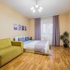 Апартаменты (Однокомнатная квартира 874), Апартаменты Домотелли на Пионерской