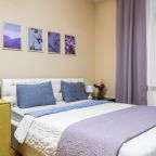 Апартаменты (Однокомнатная квартира 874), Апартаменты Домотелли на Пионерской