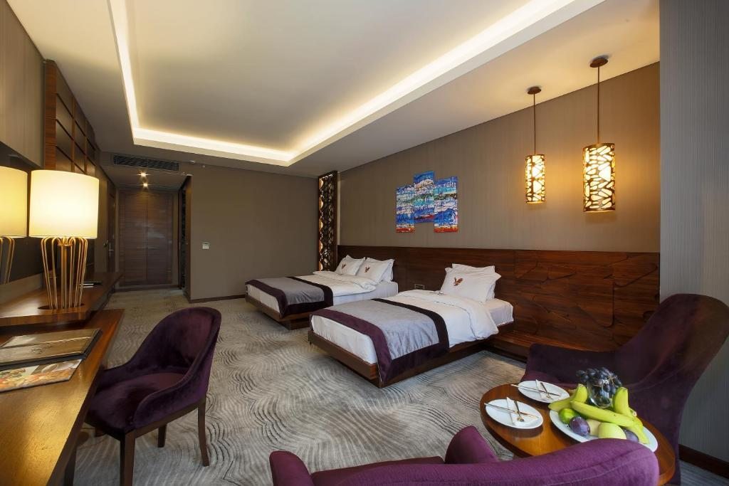 Двухместный (Улучшенный двухместный номер с 1 кроватью или 2 отдельными кроватями) отеля Gold Majesty, Бурса