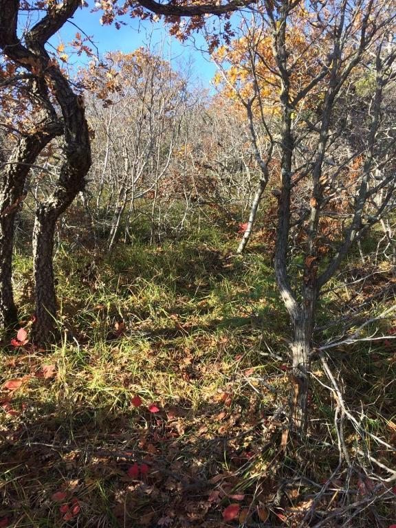 Семейный (Семейный номер с балконом), Гостевой дом Пещера Соло