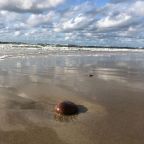 Уют и комфорт в каждых мелочах !!!