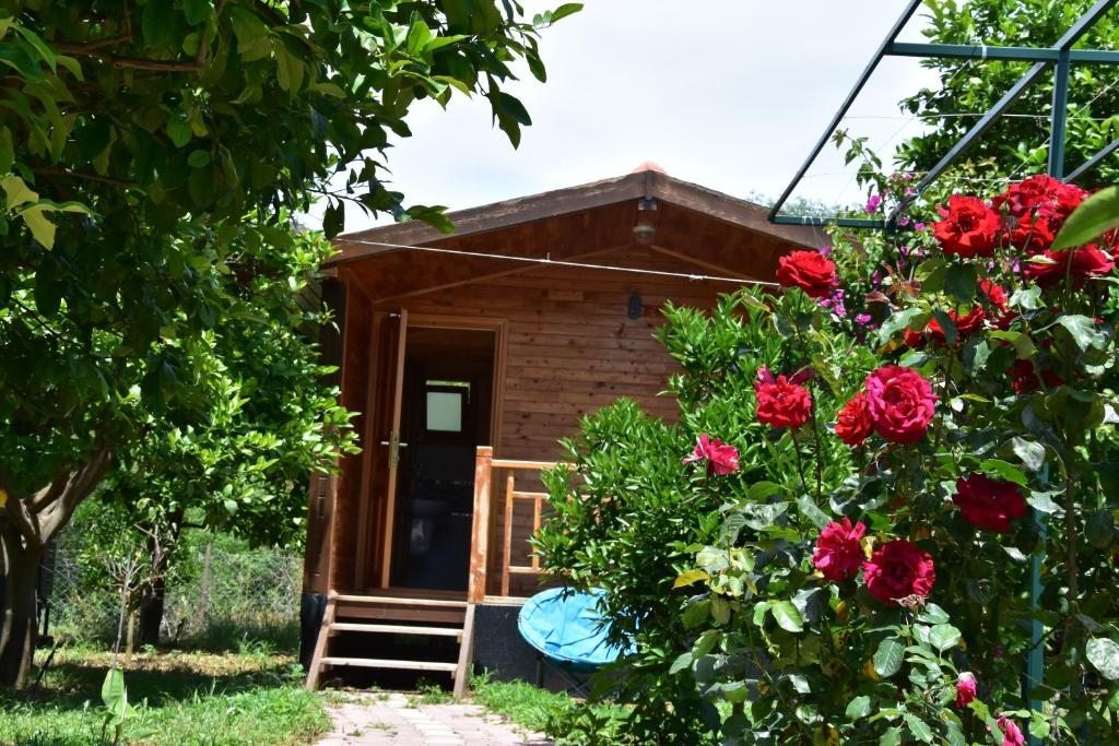 Номер (Бунгало), Lemon Garden Lodge