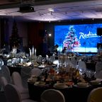 Новогодняя программа в Radisson Hotel & Congress Center Saransk, Отель Radisson Hotel & Congress Center Saransk