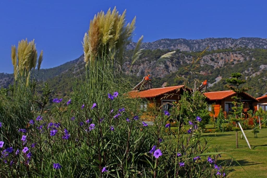 Номер (Дом для отпуска), Rüya Villen Park