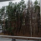 Одноместный (Стандарт), Санаторий Золотой Колос