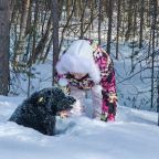 Правила бронирования и проживания в гостинице с домашним питомцем, База отдыха Уют