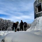 Правила бронирования и проживания в гостинице с домашним питомцем, База отдыха Уют