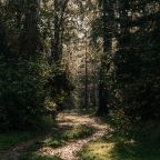 Пешие прогулки, Туристско-оздоровительный комплекс Таёжник