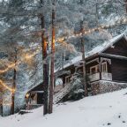 Дом (Летний стандарт), Туристско-оздоровительный комплекс Таёжник