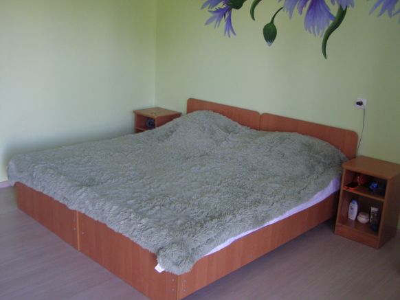 Фотография номера мини отеля Добрый бобр