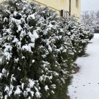 Зимний пейзаж