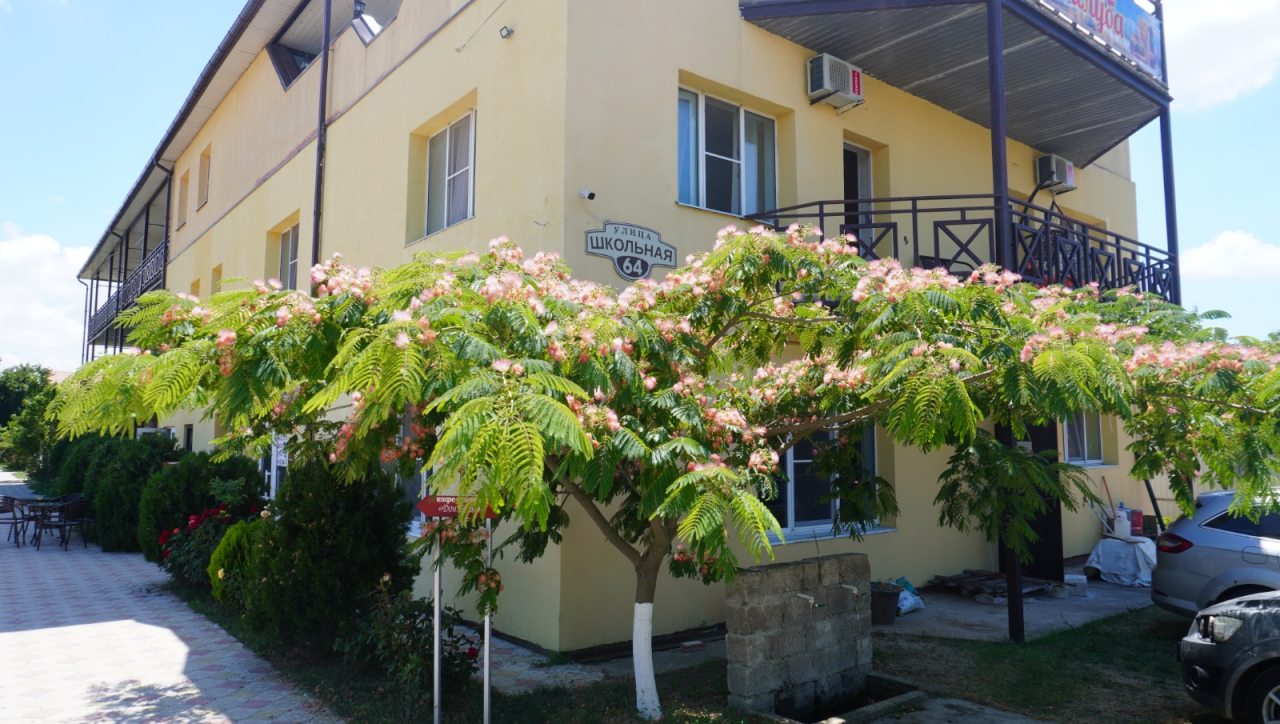 Цветущая акация