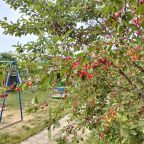 Детская площадка, Гостиница Добрый Бобр