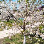 Детская площадка, Гостевой дом Добрый Бобр