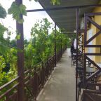 Терраса, Гостевой дом Добрый Бобр