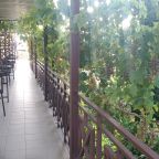 Терраса, Гостевой дом Добрый Бобр