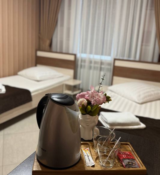 Фотография номера мини отеля Оникс