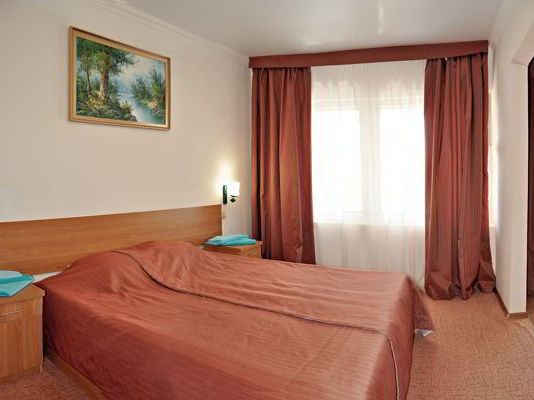 Фотография номера гостиницы Торнадо