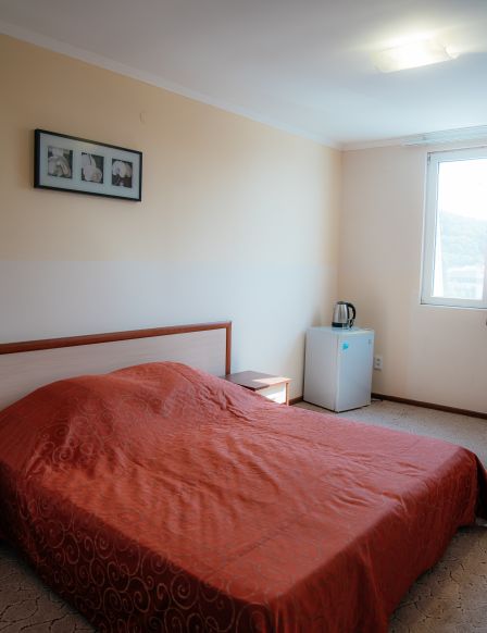 Фотография номера гостиницы Торнадо