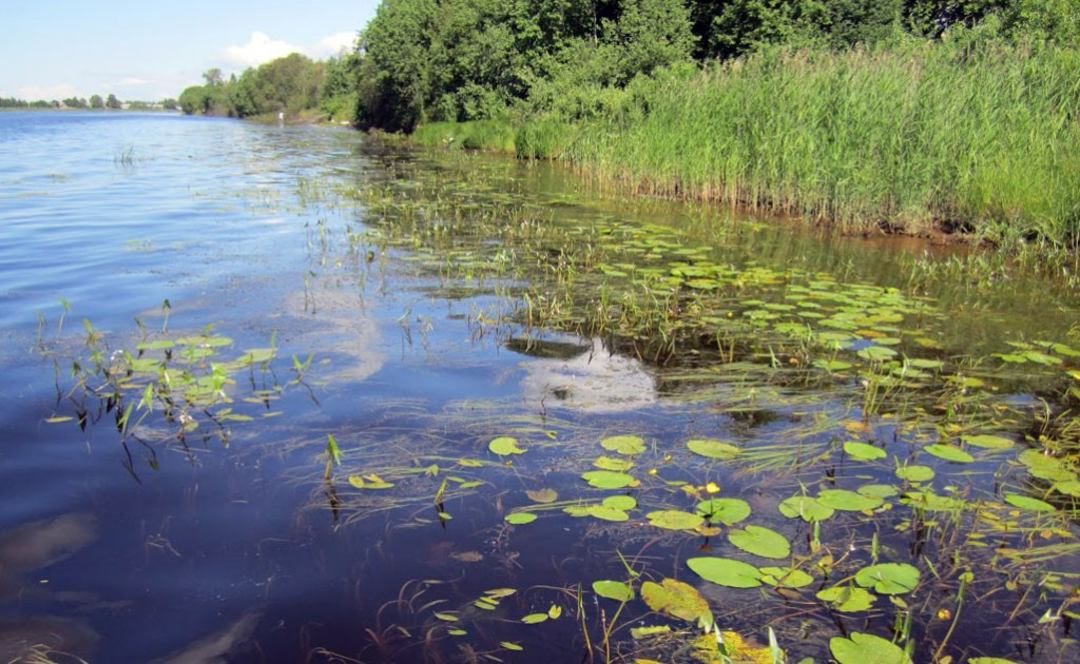 Водные прогулки, База отдыха Медвежья Кара