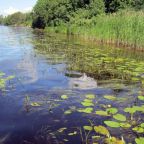 Водные прогулки, База отдыха Медвежья Кара