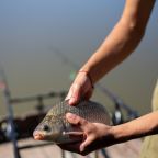 Рыбная ловля, Парк-Отель Усадьба Фамилия